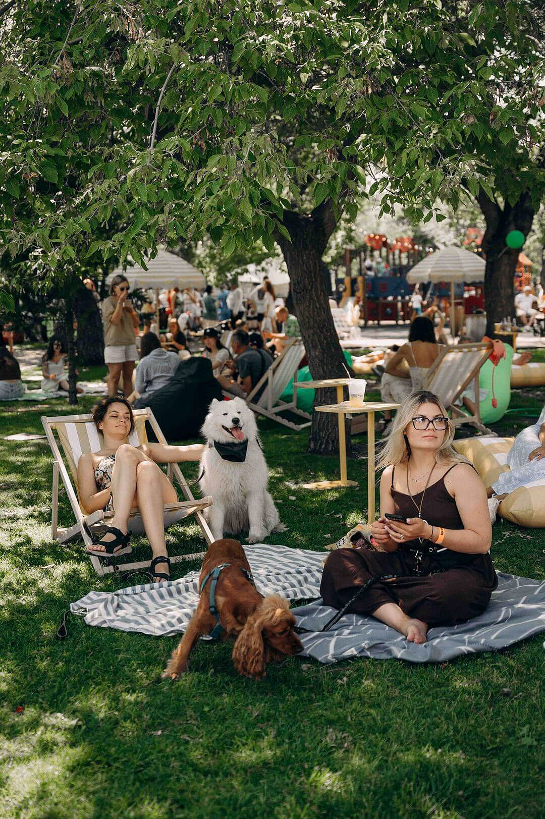 Bellini Пикник в гастроквартале. Июль 2025